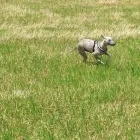 Business 11 image THE PERSONAL TRAINING CENTRE Personal Trainers in London Gr