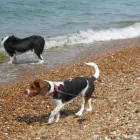 Business 13 image THE PERSONAL TRAINING CENTRE Personal Trainers in London Gr