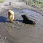 Business 15 image THE PERSONAL TRAINING CENTRE Personal Trainers in London Gr