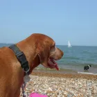 Business 17 image THE PERSONAL TRAINING CENTRE Personal Trainers in London Gr