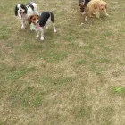 Business 18 image THE PERSONAL TRAINING CENTRE Personal Trainers in London Gr