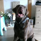 Business 19 image THE PERSONAL TRAINING CENTRE Personal Trainers in London Gr