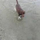 Business 1 image THE PERSONAL TRAINING CENTRE Personal Trainers in London Gr