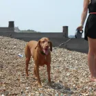 Business 22 image THE PERSONAL TRAINING CENTRE Personal Trainers in London Gr