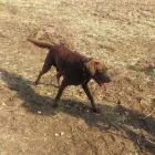 Business 23 image THE PERSONAL TRAINING CENTRE Personal Trainers in London Gr