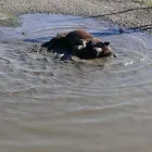 Business 2 image THE PERSONAL TRAINING CENTRE Personal Trainers in London Gr