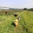 Business 4 image THE PERSONAL TRAINING CENTRE Personal Trainers in London Gr