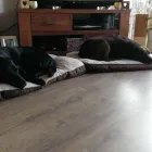 Business 5 image THE PERSONAL TRAINING CENTRE Personal Trainers in London Gr