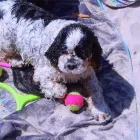 Business 7 image THE PERSONAL TRAINING CENTRE Personal Trainers in London Gr