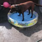 Business 8 image THE PERSONAL TRAINING CENTRE Personal Trainers in London Gr