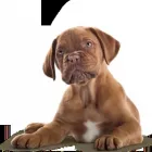 Business 10 image THE PERSONAL TRAINING CENTRE Personal Trainers in London Gr