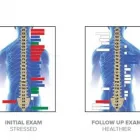 Business 11 image THE RICHMOND CLINIC X-Ray Laboratories & Services in Worthing We