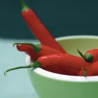 Business 1 image THE ROCKING HORSE DAY NURSERY Day Nurseries in Ilkeston De