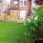 Business 6 image THE SHED Turfing Services in Harrow Gr