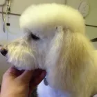 Business 2 image THINK HOTELS LTD Hotels & Inns in London Gr