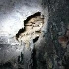 Business 1 image THORNHILL DAMP PROOFING Waterproofing Contractors in Liverpool Me