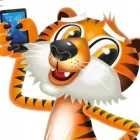 Business 2 image TIGER MOBILES Telecommunications Services in Leeds We