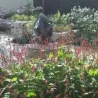 Business 2 image TIM MACKLEY GARDEN DESIGN Landscape Architects & Designers in London Gr