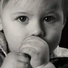 Business 4 image TOBY CARVERY Bars & Wine Bars in Liverpool Me