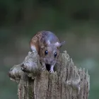 Business 3 image TOTAL ACCOUNTS DIRECT Bookkeeping Services in Brighton Ea