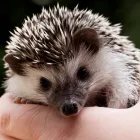 Business 1 image TOTAL ACCOUNTS DIRECT Bookkeeping Services in Brighton Ea