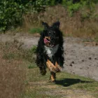 Business 5 image TOTAL ACCOUNTS DIRECT Bookkeeping Services in Brighton Ea