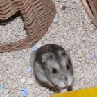 Business 2 image TOTAL ACCOUNTS DIRECT Bookkeeping Services in Brighton Ea