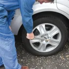 Business 3 image TRAILS FOR TAILS Home & Pet Sitting in Brighton Ea