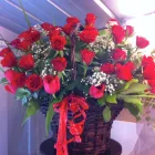 Business 2 image TRIBUTES Funeral Flowers in Plymouth De