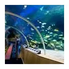 Business 1 image TRINITY TRAVELS LTD Youth Organisations, Centres & Clubs in London Gr