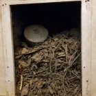 Business 1 image TYNESIDE CHIMNEY SWEEP Home Improvement in Newcastle Upon Tyne Ty