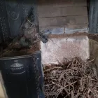 Business 9 image TYNESIDE CHIMNEY SWEEP Home Improvement in Newcastle Upon Tyne Ty