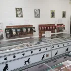 Business 2 image UPRAW PETFOODS Pets & Animals in Northampton No