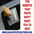 Business 1 image WARRENS BAKERY Retail Bakers in Plymouth De