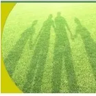 Business 1 image WASHINGTON AUTO REPAIR CENTRE Garage Services in Washington Ty