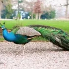 Business 12 image WEDDING VIDEOGRAPHER KUBICKI.ME Wedding Services in Northampton No