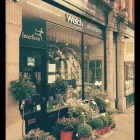 Business 2 image WELCH THE FLORIST LTD Florists in Nottingham No