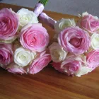 Business 3 image WEXFORD HOUSE SPECIALIST EMI CARE Residential & Retirement Homes in Worthing We