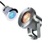 Business 18 image WHEREDIDTHETIGERGO Internet Web Design & Development in Northampton No