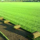 Business 1 image WILD BEAN CAFE Cafes & Coffee Shops in Brighton Ea