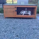 Business 3 image WOK DAINTY CHINESE TAKEAWAY Takeaway Food in Leeds We