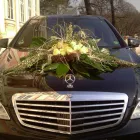 Business 6 image WWW.WEDDINGCARS4PRINCESSES.CO.UK Wedding Cars in Orpington Ke