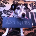 Business 1 image ZED'S REFURBISHMENT Property Development in London Gr