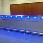 Business 3 image ZIPBAR LTD Bars & Wine Bars in Plymouth De