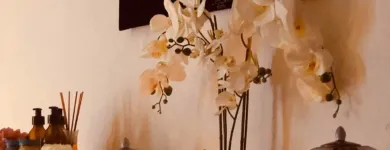 Business 7 image BODY & MIND MASSAGE THERAPY Spa Services in Newcastle Upon Tyne Ty