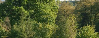 Business 11 image BRAMPTON HEATH GOLF CENTRE Wedding Venues in Northampton No