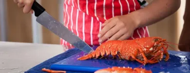 Business 3 image BRIGHTON COOKERY SCHOOL Wedding Caterers in Brighton Ea