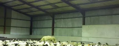 Business 3 image C J ROONEY ELECTRICAL SERVICES Electricians & Electrical Contractors in Northampton No