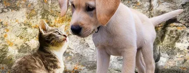 Business 4 image CITRUS RELOCATION SERVICES LIMITED Travel & Tourism in London Gr