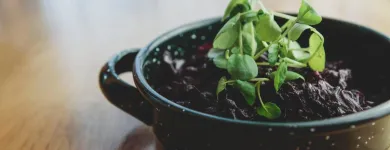 Business 38 image CROWNE PLAZA NEWCASTLE - STEPHENSON QUARTER, AN IHG HOTEL Wedding Venues in Newcastle Upon Tyne Ty